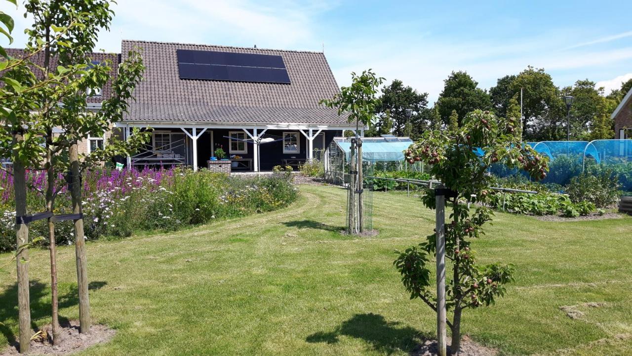 Bed & Breakfast De Tuinhof Vlissingen