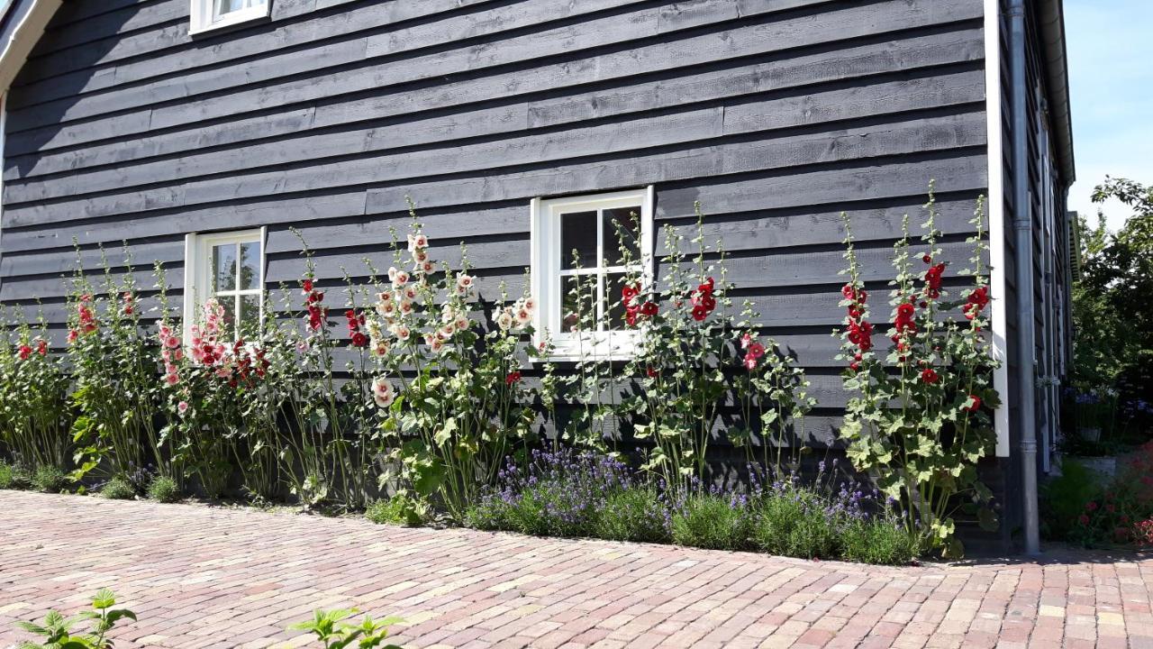 Bed & Breakfast De Tuinhof Vlissingen